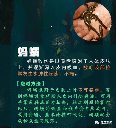 咬伤|被它咬了一口，女子窒息身亡！医生：第一时间应这样做
