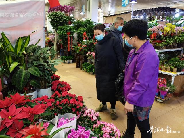 花卉|寻年味之《花儿为什么这么红》