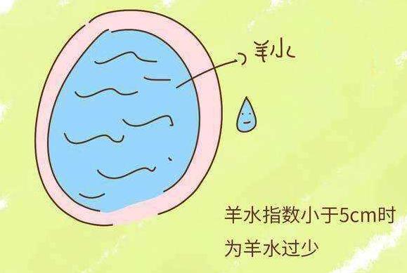 有趣的爱|羊水为啥叫“羊水”？孕妈孕期这样“喝”，羊水质量更好