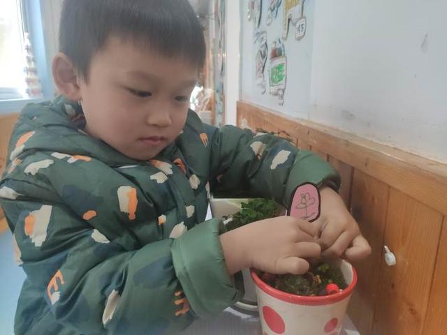 如何拥抱春天？这群幼儿园的娃娃学会了播种绿色