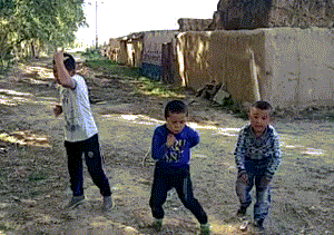 爆笑gif:原来好白菜真的被猪拱了
