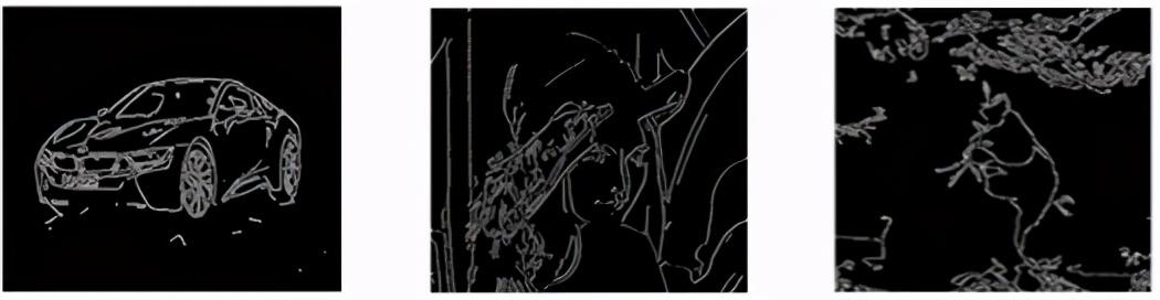 你曾想过如何将图像存储在数据集中吗？