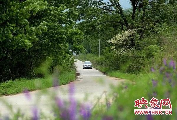 「旅行柚子君」驻马店驿城区板桥镇:油桐花开 景色宜人