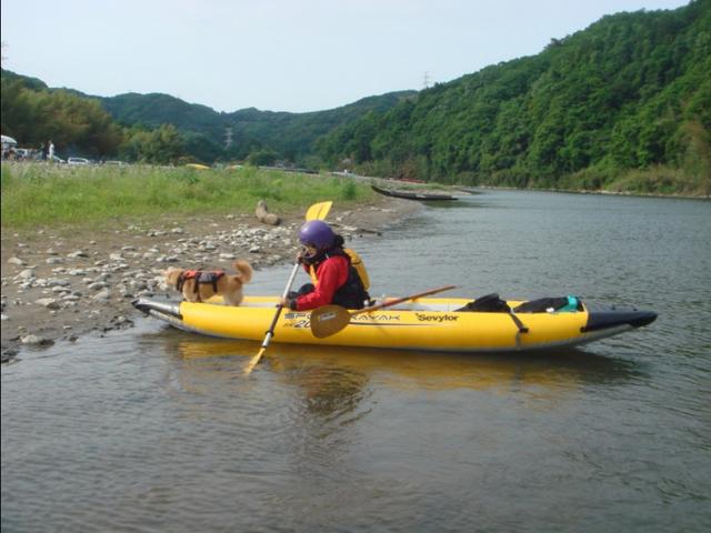 也曾经跨过山和大海，还有河流