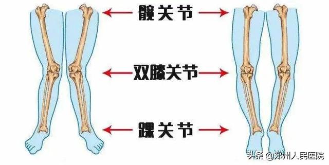 又是“青蛙腿”，又是“蜕皮”……宝宝你是要变身了么