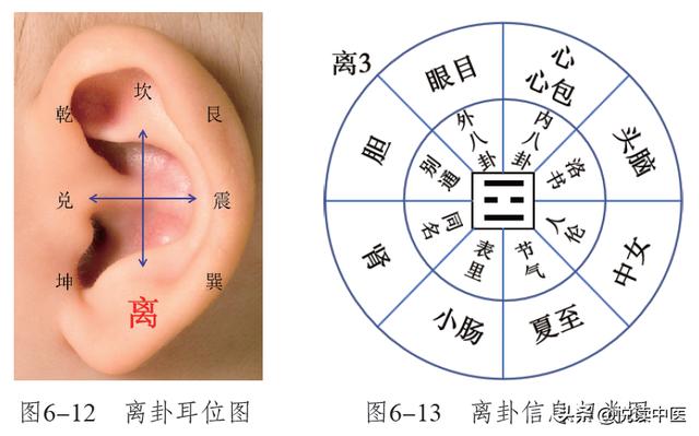 肩周炎反复发作，这些耳穴能缓解