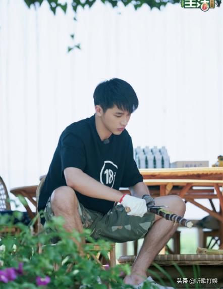 《向往4》任嘉伦谭松韵合体,互怼升级,另一嘉宾许魏洲也被吐槽|资讯早知道