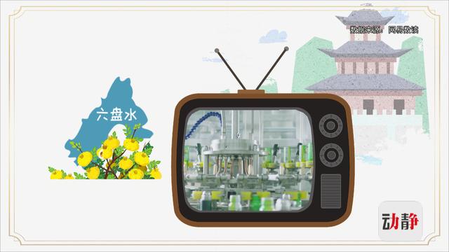 动静有数丨想不到，贵州这些水果都能做酒