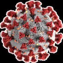 诺贝尔奖与摇滚史上最著名的专辑封面新华网客户端