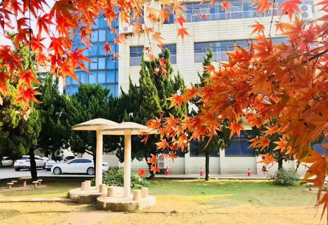 【暖先生格调】延迟开学:致全体武汉中小学生的一封信!