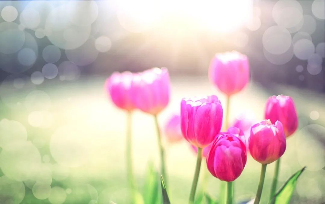 Recitation: Maintaining a Peaceful Contentment and Living Well in the Present Moment