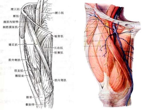 流年絮语|国际范十足的章子怡，穿衣搭配引领时尚，修长腿型怎么穿都好看