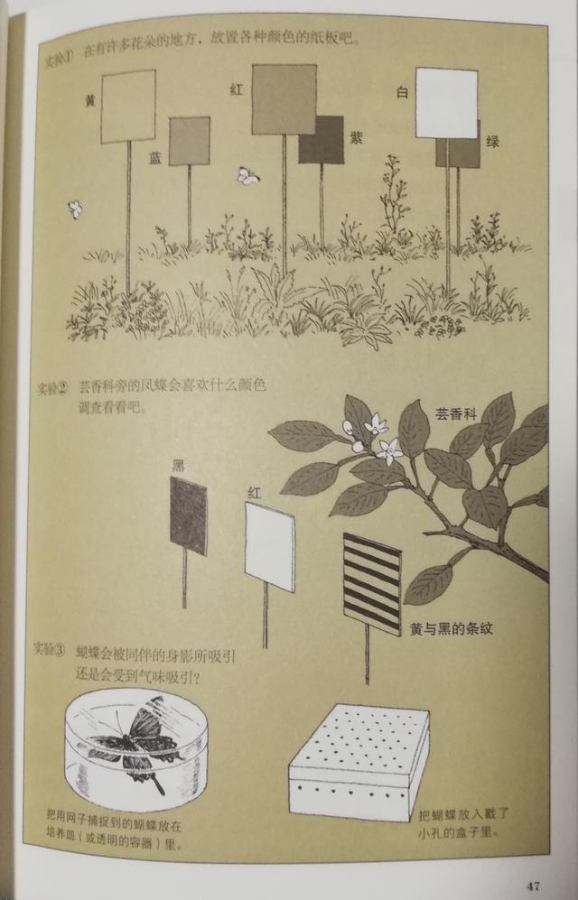 超级宝妈@开启孩子丰富的感官，捕捉世间无处不在的趣味