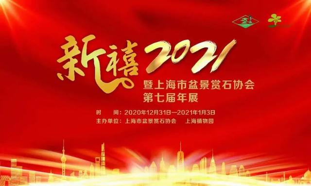 新禧2021暨上海市盆景赏石协会第七届年展展品“云”赏鉴