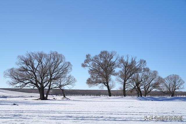 试驾 | 开着这几台“大玩具”在雪地撒野的快乐，你绝对想不到