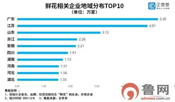 山东鲜花相关企业达3.13万家名列全国前三，青岛“领跑”全省