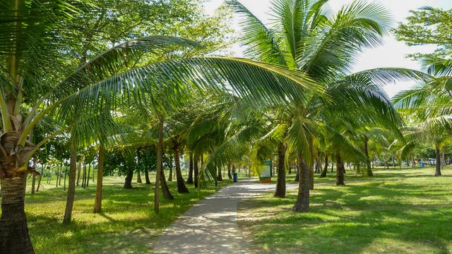 约吗旅行@椰梦画廊三亚湾为什么能吸引那么多各地游客慕名前来