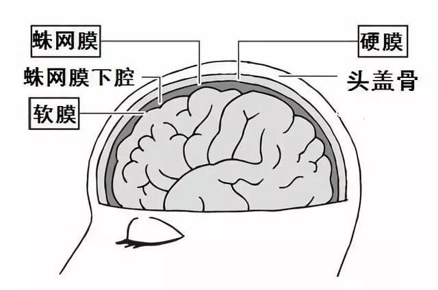 高血压|多数孩子脑出血都发生在打篮球时候，这种运动很危险?