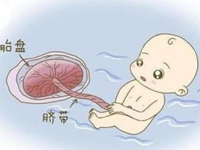 【你的育儿经】宝宝脐带怎么护理，新手宝妈要知晓