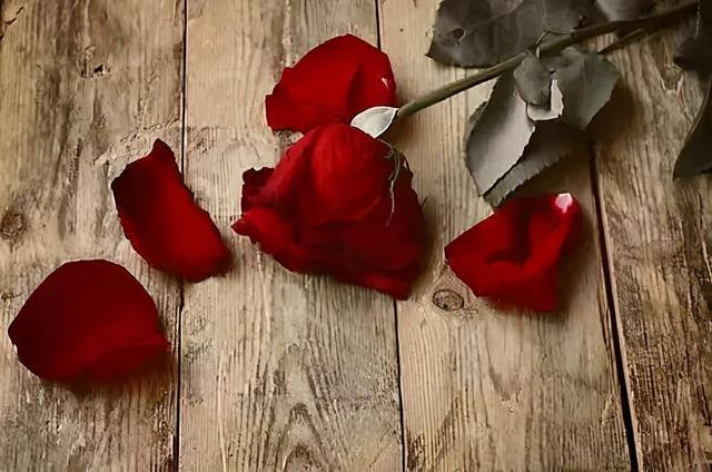 冬天灸这八个“孔”，给胞宫注入阳气，通治一切妇科病