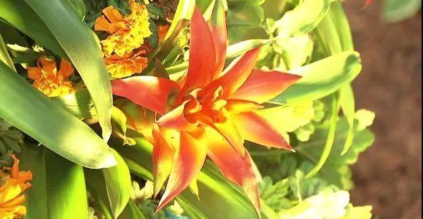 花艺|上新啦！花艺馆