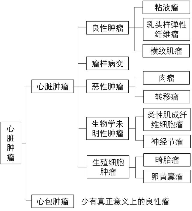 绍兴市民健康科普｜心脏也能长肿瘤？罕见却很危险