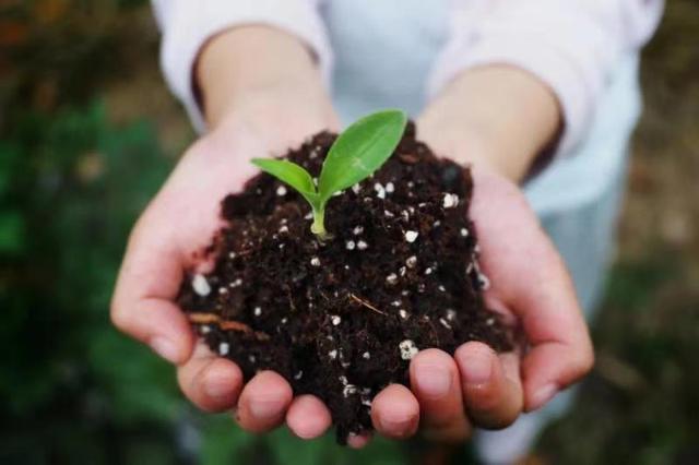 新一轮“限塑令”实施，可降解塑料制品成为市场宠儿