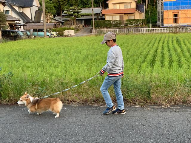 9岁的小诗人！