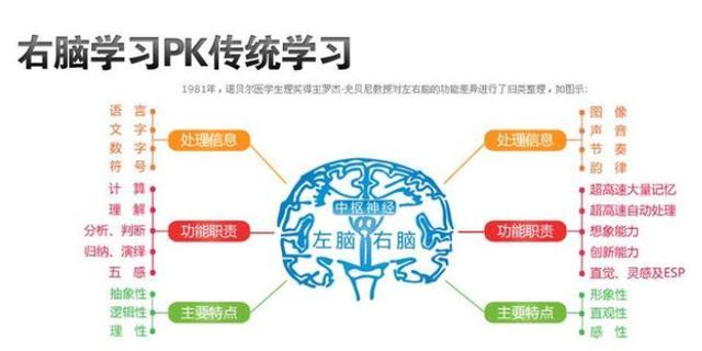 你的育儿经■想让宝宝更聪明？给右脑“充充电”才是关键，父母可别再忽视了