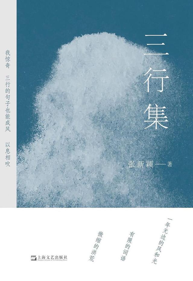 时刻|蹲着的时候看到的风景——关于《三行集》｜王占黑