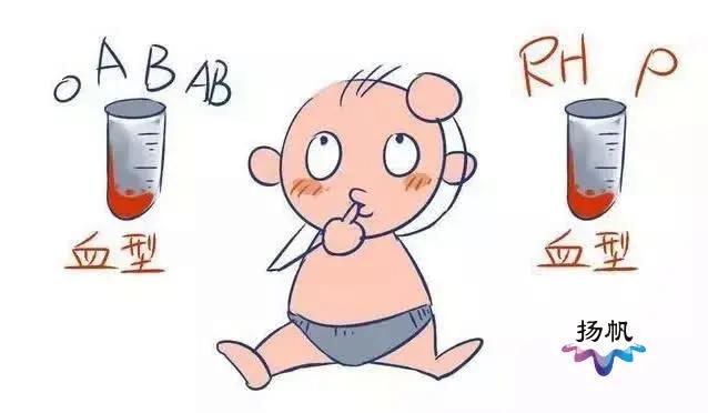 宝宝|惊心动魄！扬州一“熊猫血”新生儿患溶血症，必须全身换血才有生机……