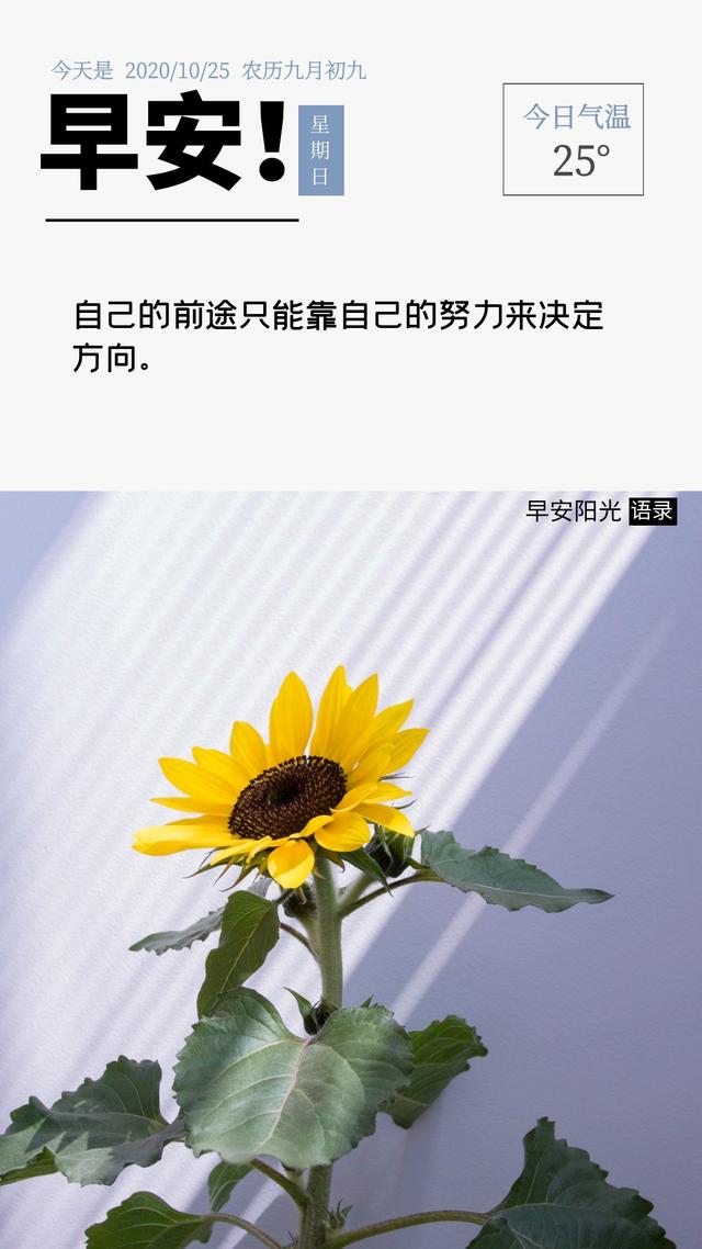 每日正能量语录：宁可因为说真话负罪，也不要说假话开脱