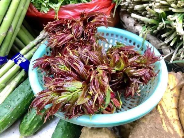 生长|这些广元人餐桌上常见的春味，你看看吃过几样？