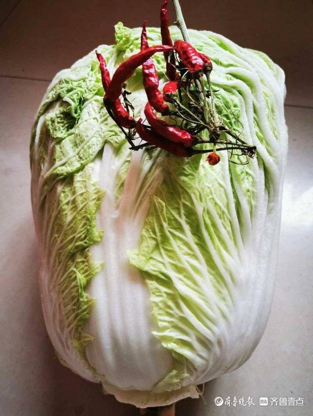 情报站｜壹粉分享自家私房菜，承载万千思念，留住过往的温存