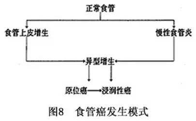 吃火锅一时爽，天天吃可要小心“烫”出来的食管癌