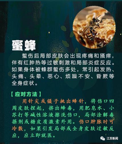 咬伤|被它咬了一口，女子窒息身亡！医生：第一时间应这样做