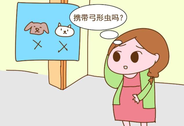 「超级宝妈」怀孕养猫会导致流产!真的要把“主子”送走吗?