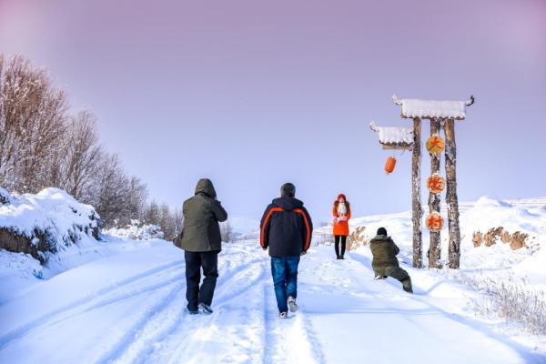 会宁：冬景如画 雪落成诗