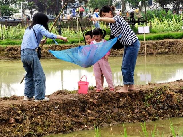「玩乐足迹」清溪村“农旅融合”助力乡村振兴