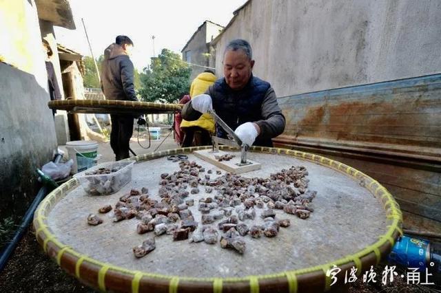 北风起！宁波人喜欢的这种小零食到时候了 原料你肯定想不到