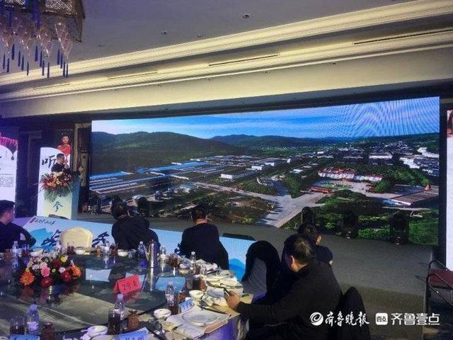 中国高端文化白酒·内参酒发布会在泰安举行