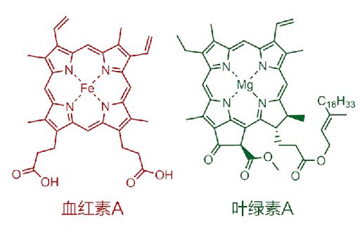 科学解读，到底啥是真正的「塑料蓝」