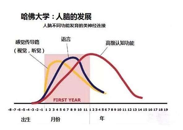 你的育儿经|3岁正式启蒙，5岁自主阅读，英语启蒙中你有必要知道的那些干货