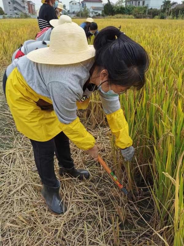 “光盘”请拍灯！这所幼儿园教娃娃懂得“粒粒皆辛苦”