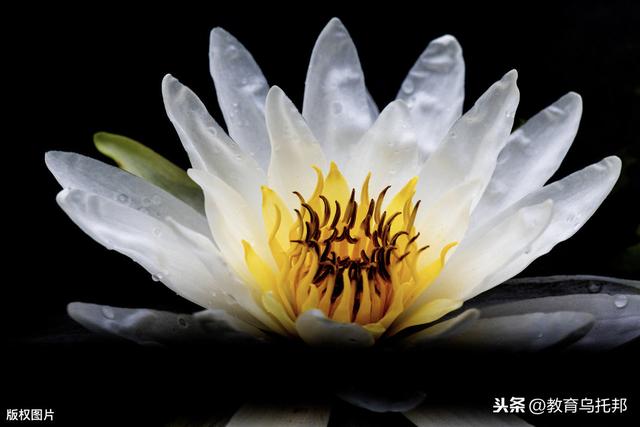 你的育儿经|要和孩子说的10句话，看懂的人知道必须说，眼光真厉害