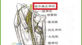 患者|这个症状，平均5人里面就有1人在患，医生提醒：鉴别诊断很重要！