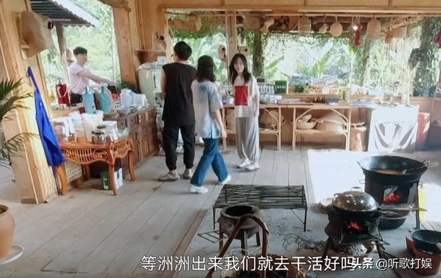 《向往4》任嘉伦谭松韵合体,互怼升级,另一嘉宾许魏洲也被吐槽|资讯早知道