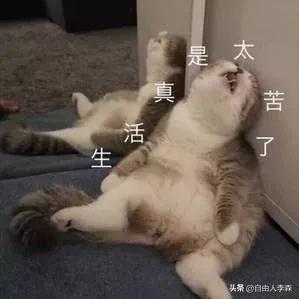 超级宝妈@救救家长吧！第一批隔离在家的爸妈已疯，哈哈哈哈哈哈~