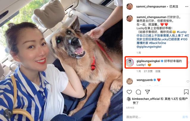 48岁郑秀文帮15岁爱犬按摩拉筋,尽职尽责陪它走完最后一程巴拉啦解说