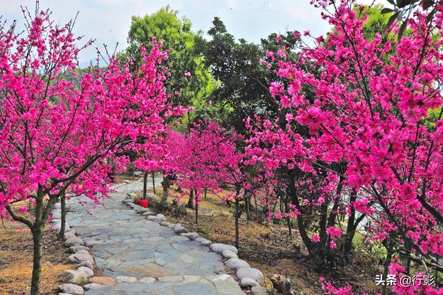 「旅行百事通」江西庐山下藏着中国版小马尔代夫，住水上小木屋，看春花满山遍野